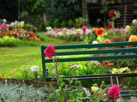 Oak Field Resort Munnar Bagian luar foto