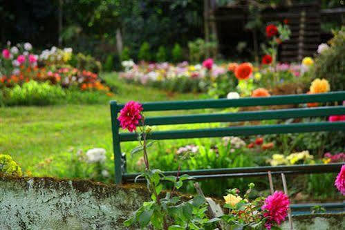 Oak Field Resort Munnar Bagian luar foto