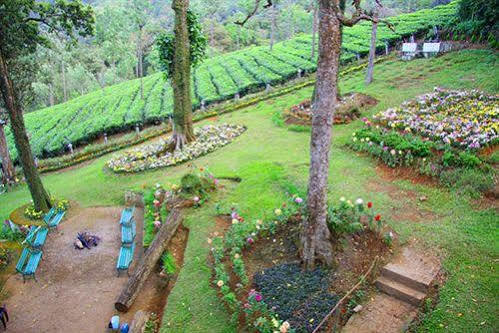 Oak Field Resort Munnar Bagian luar foto