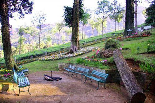 Oak Field Resort Munnar Bagian luar foto