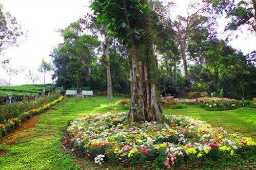 Oak Field Resort Munnar Bagian luar foto